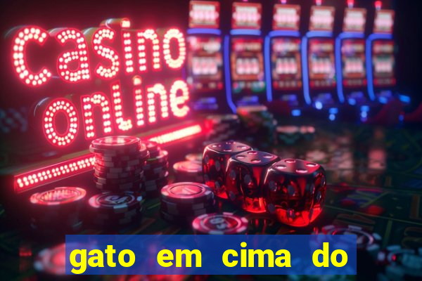 gato em cima do telhado significado espiritual